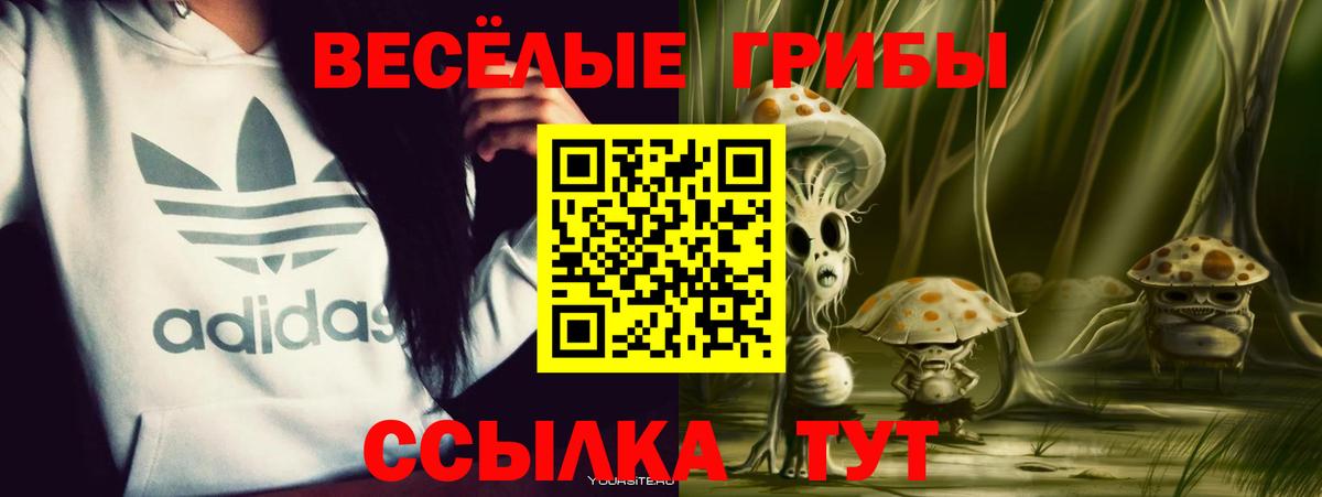 купить  цена  Галлюциногенные грибы Psilocybine cubensis  Вход с VPN  Дзержинск 